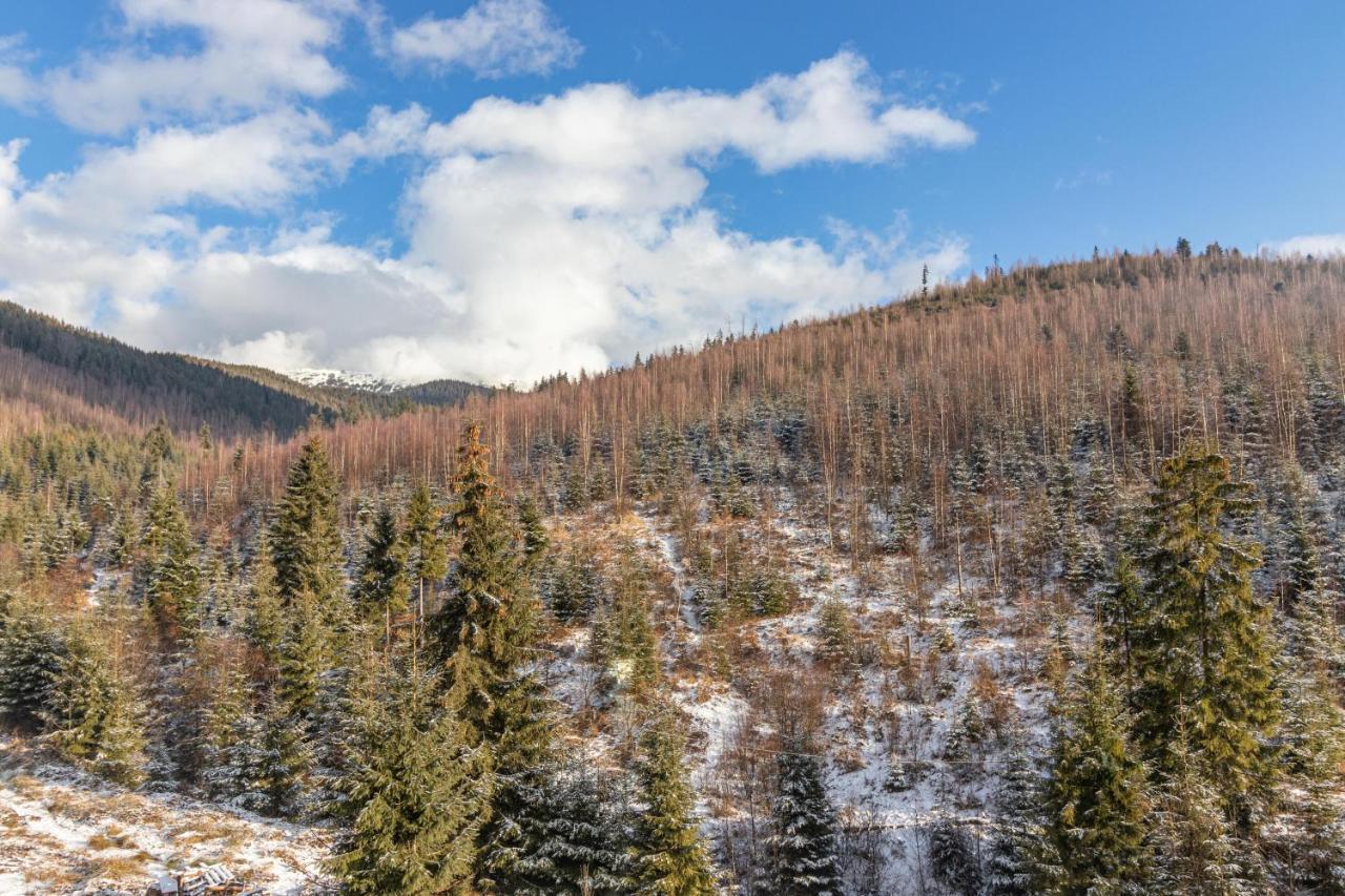 Konopka Forest Home & Spa Bukovel Bagian luar foto