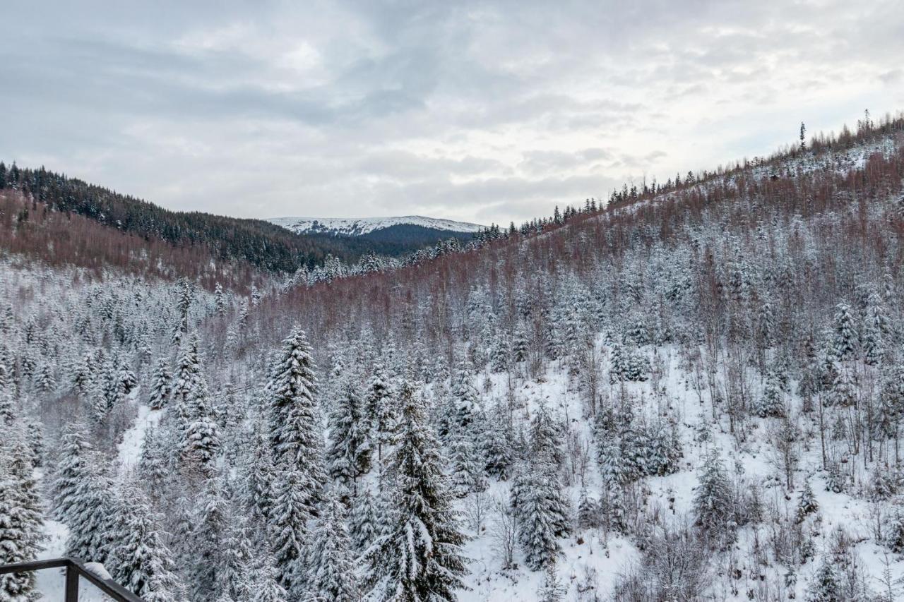 Konopka Forest Home & Spa Bukovel Bagian luar foto